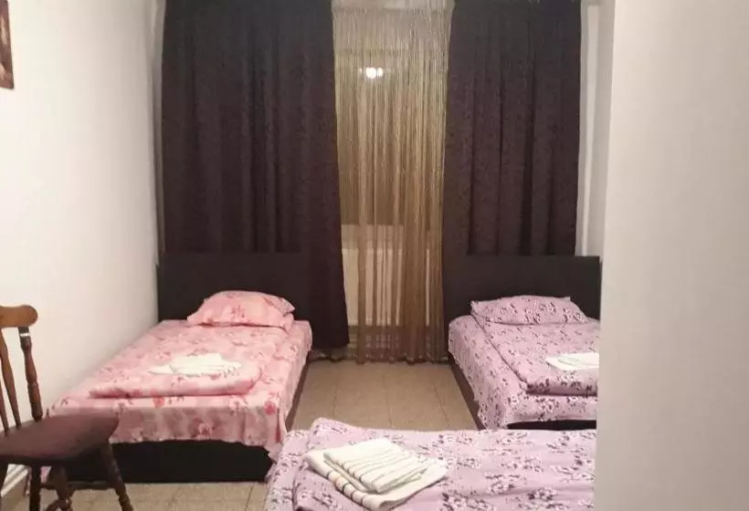 ペンション Casa Dobrescu Centura De Nord