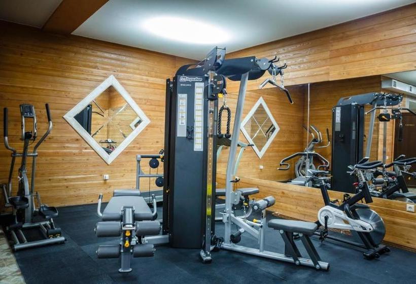 Pensiune Guest House Chalet