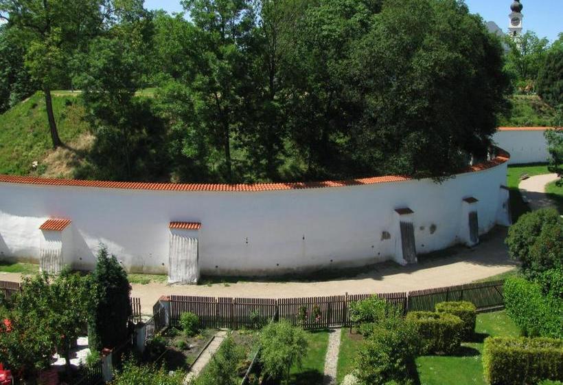 بنسيون Penzion 102