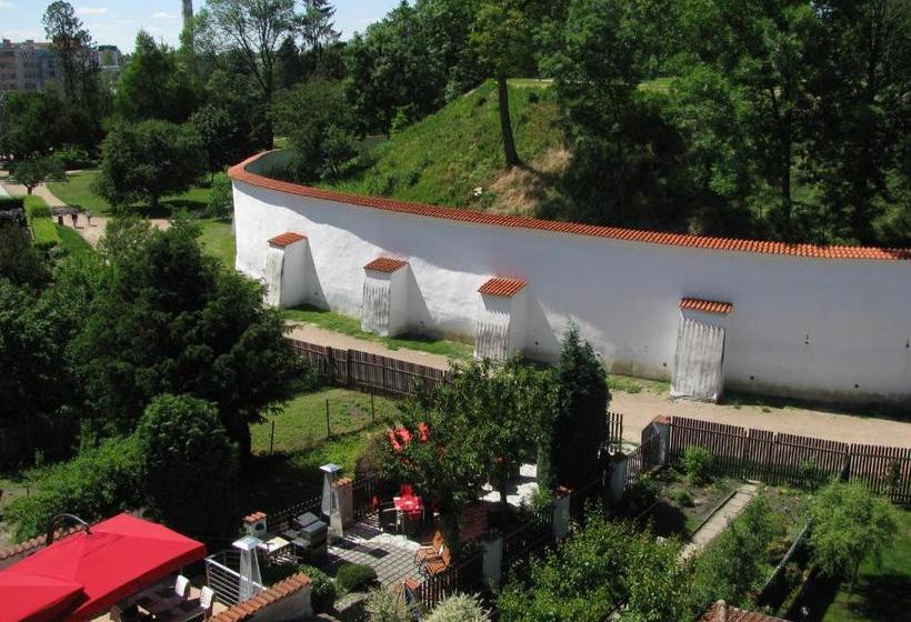 بنسيون Penzion 102