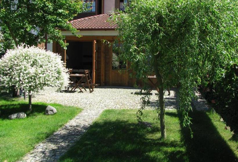 بنسيون Penzion 102