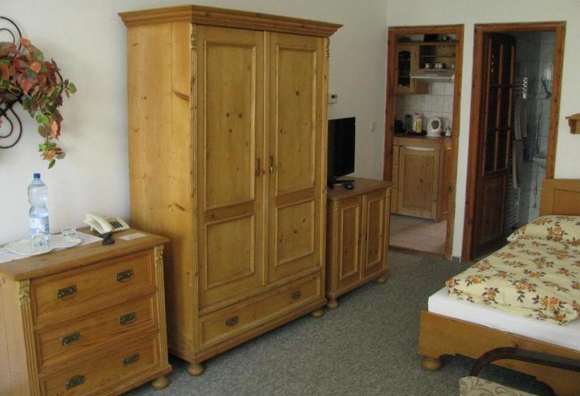 بنسيون Penzion 102