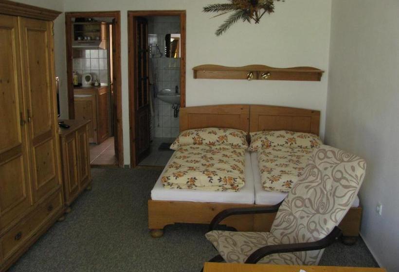 بنسيون Penzion 102