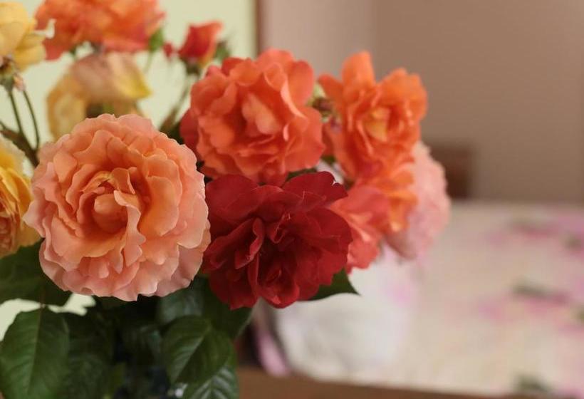 پانسیون Roza Guest House