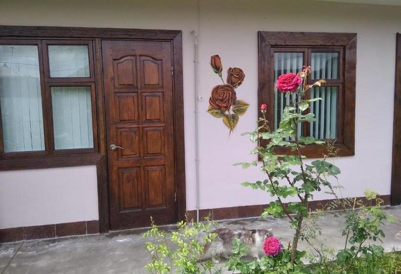 پانسیون Roza Guest House