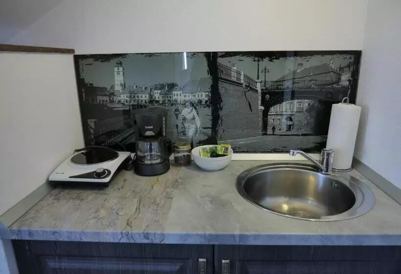 Sibiu City Center Apartments