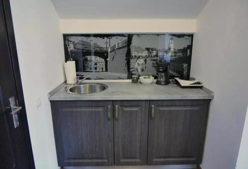 Sibiu City Center Apartments