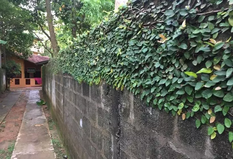 ペンション Brinkhouse Guesthouse , Unawatuna Beach