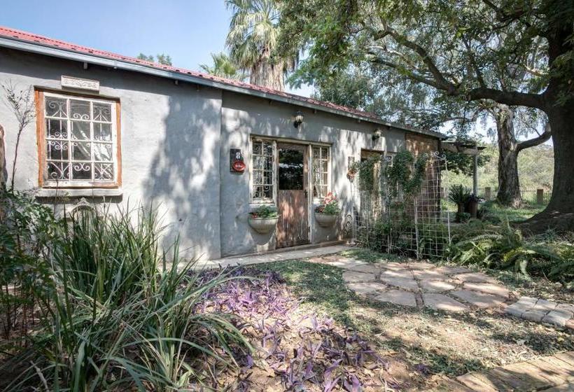 Pension Kammafrans Guesthouse