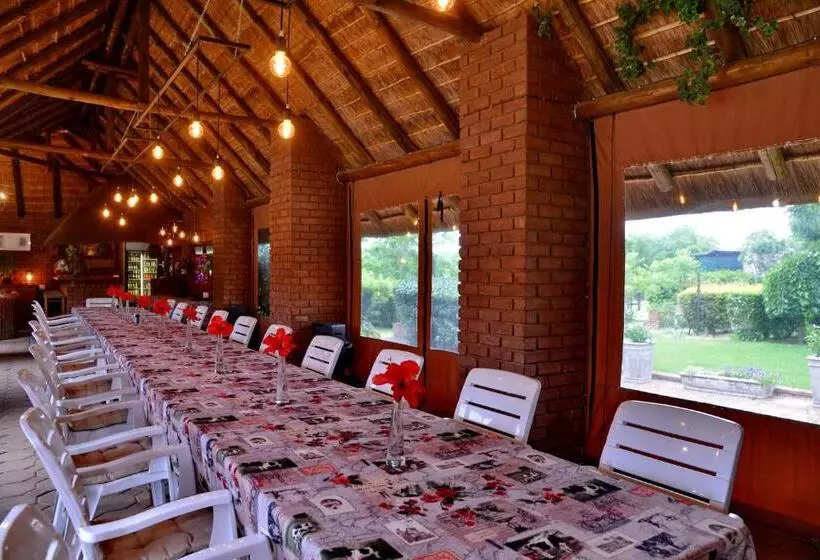 Majatalo Owls Loft Guesthouse