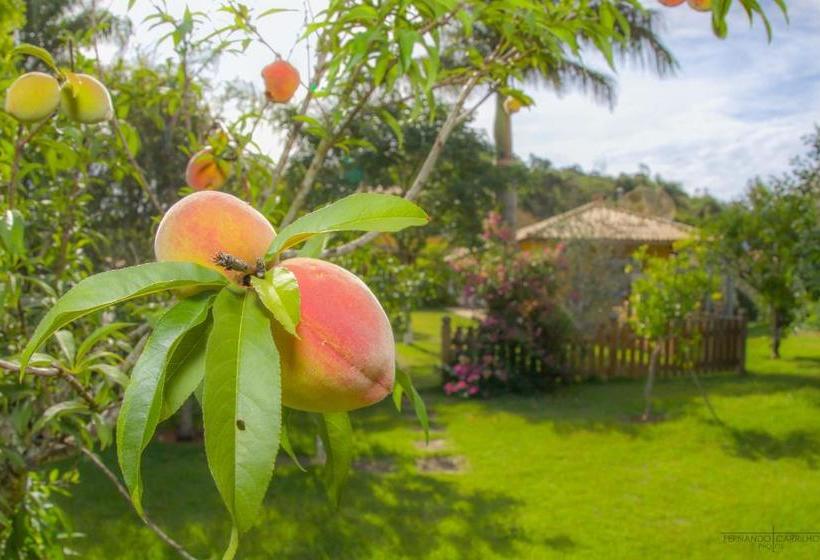 膳宿费 Pousada Turmalinas