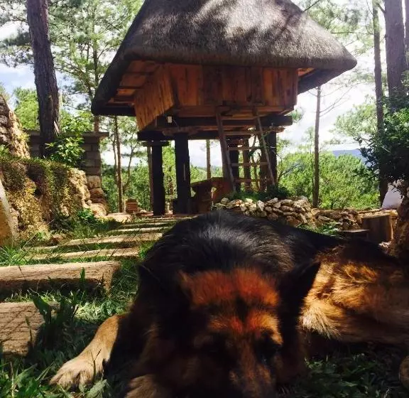 ペンション Sagada Heritage Village