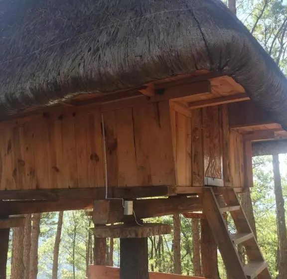 ペンション Sagada Heritage Village