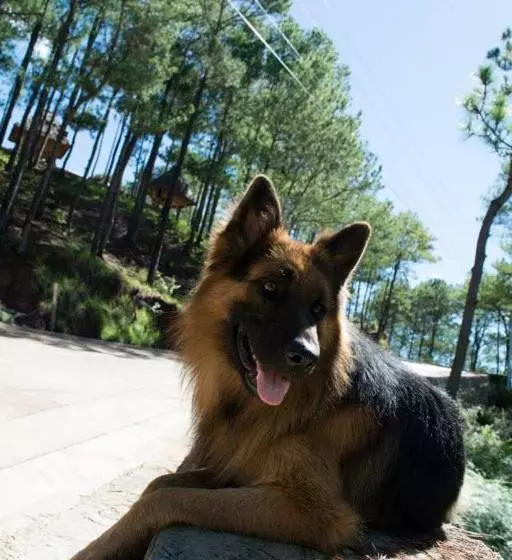 ペンション Sagada Heritage Village