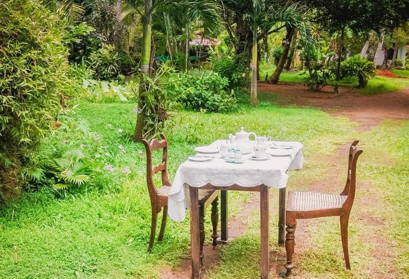 ペンション Shammie Guest House