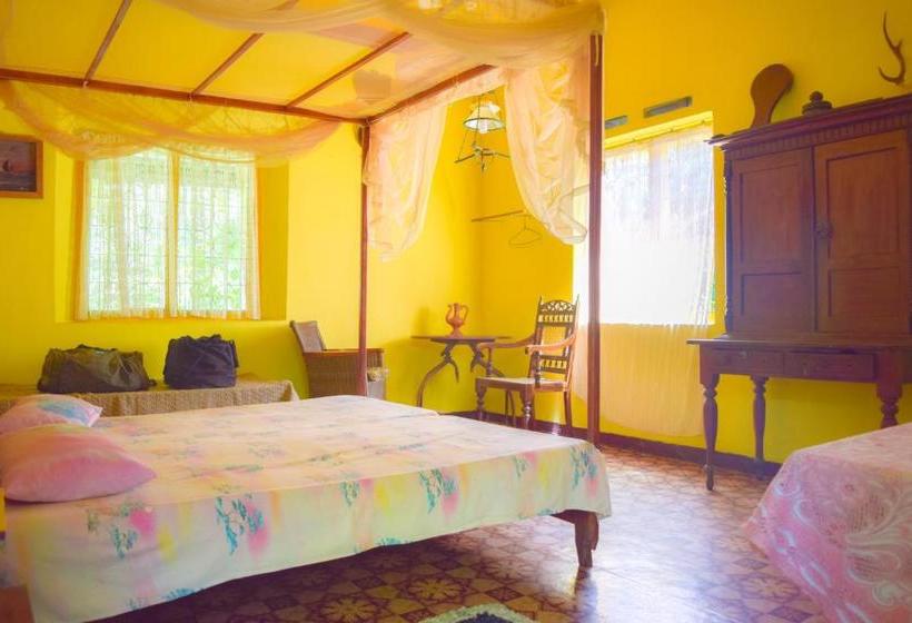 ペンション Shammie Guest House