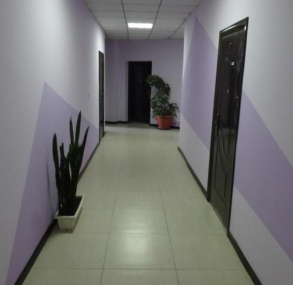 Tsolmon's Serviced Apartments