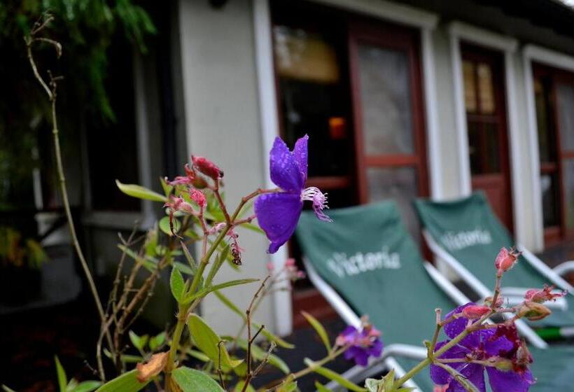 Hostel Victoria Cabañas