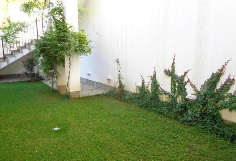 פנסיון Cloudbase Guesthouse