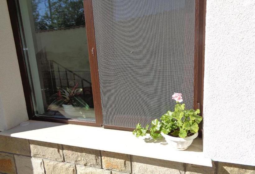 פנסיון Cloudbase Guesthouse