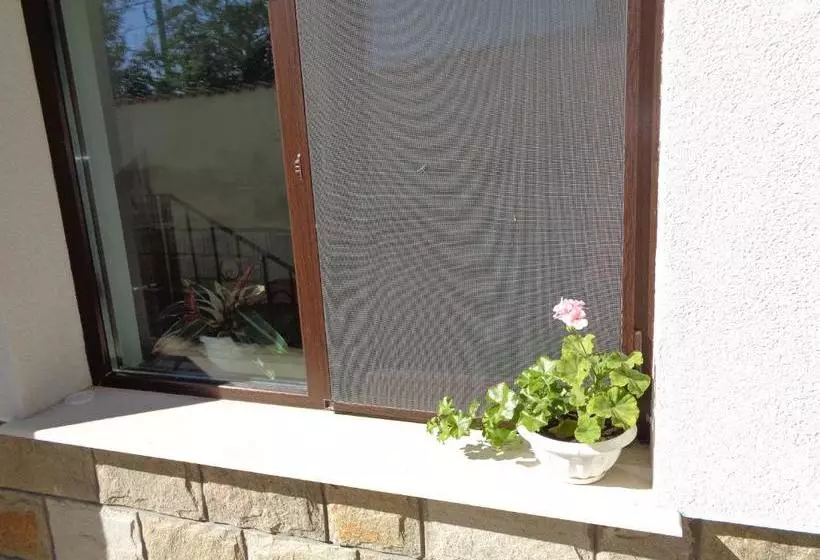 پانسیون Cloudbase Guesthouse