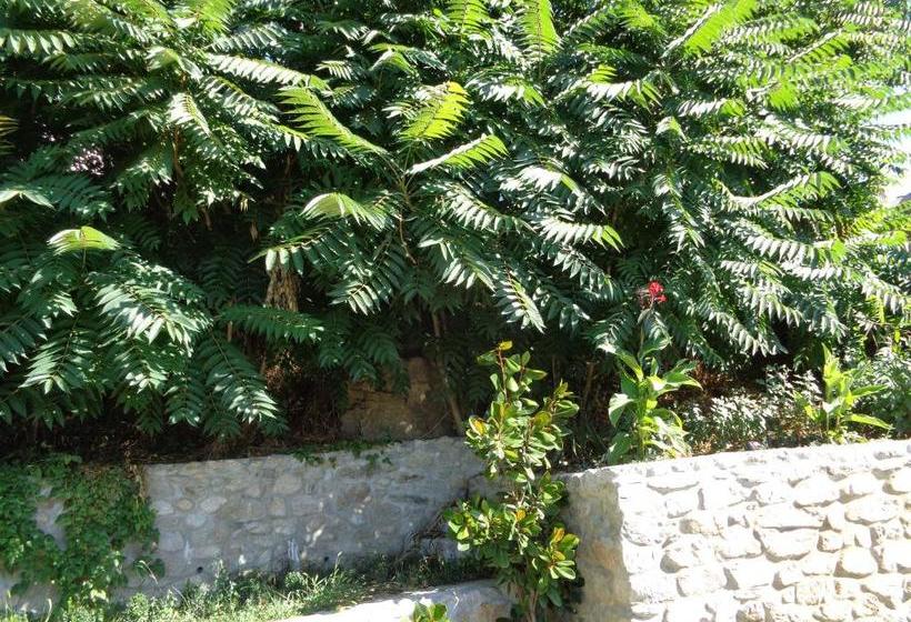 פנסיון Cloudbase Guesthouse