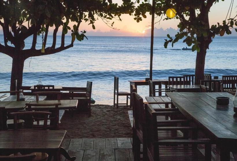 פנסיון Gecko Restaurant & Rooms