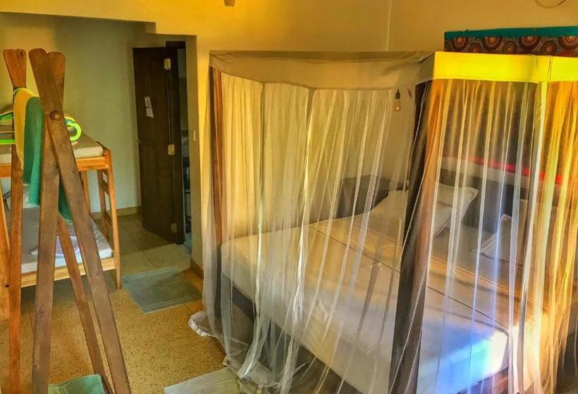 פנסיון Gecko Restaurant & Rooms