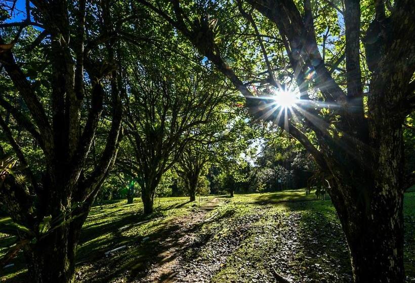 膳宿费 Refugio Ecologico Amadamata