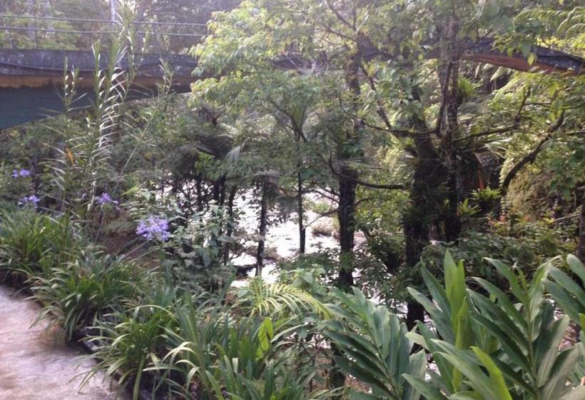 膳宿费 Refugio Ecologico Amadamata