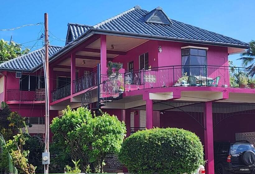 بنسيون The Seaside Garden Guesthouse