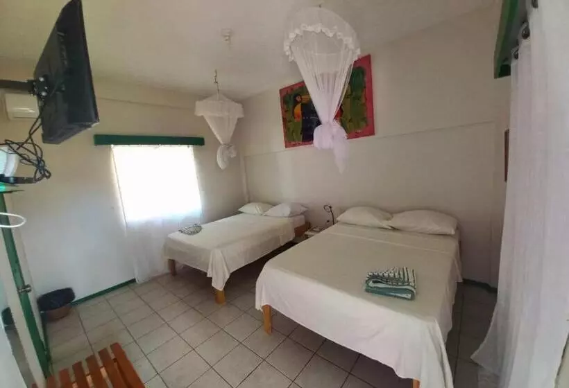 پانسیون The Seaside Garden Guesthouse