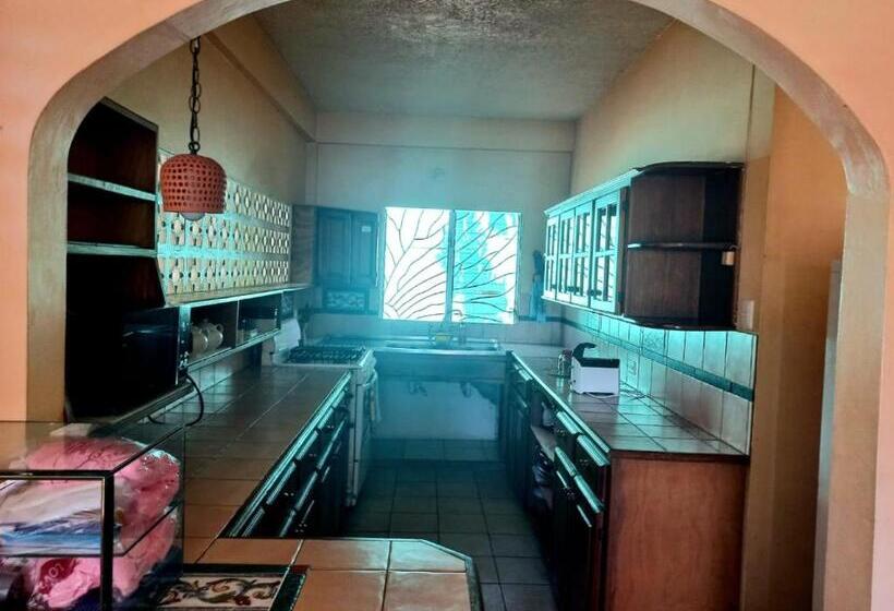 بنسيون The Seaside Garden Guesthouse