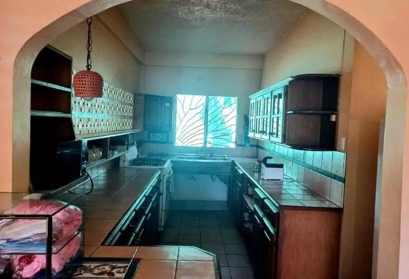 پانسیون The Seaside Garden Guesthouse