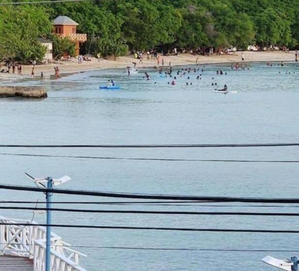 بنسيون The Seaside Garden Guesthouse