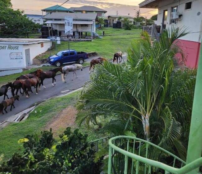 بنسيون The Seaside Garden Guesthouse