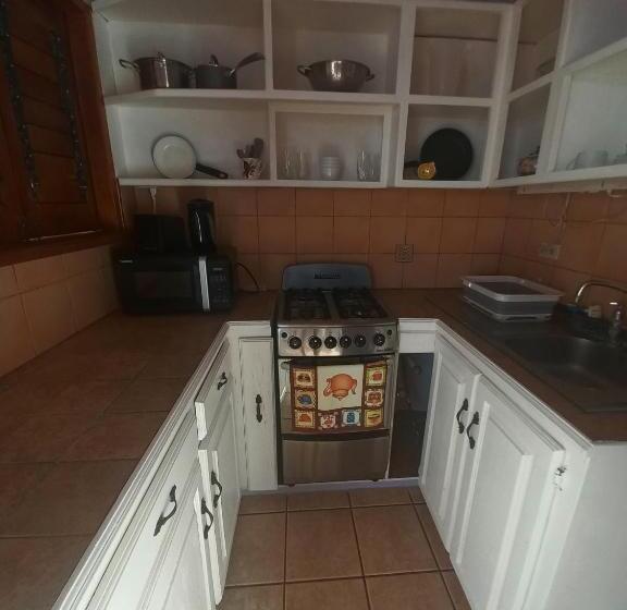 بنسيون The Seaside Garden Guesthouse