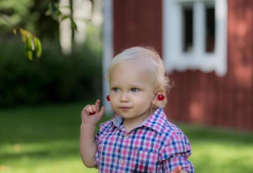 هتل Lovelund Farm House