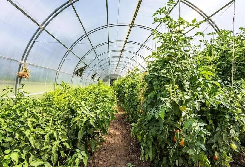 Pensió Complex Europe