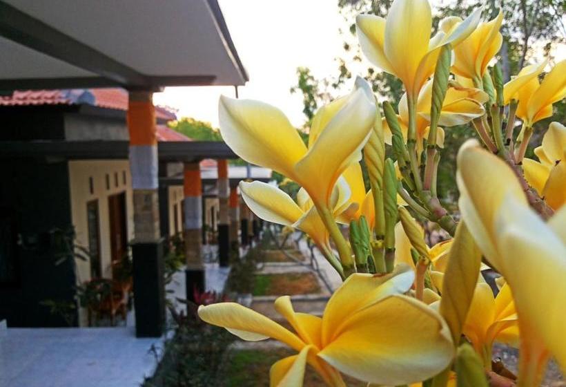 פנסיון Tregge Surf Camp Uluwatu