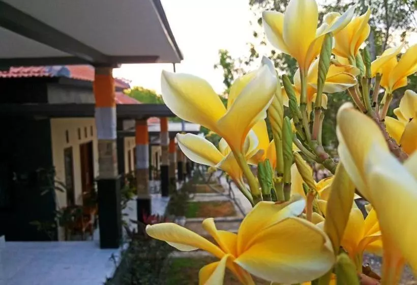 ペンション Tregge Surf Camp Uluwatu
