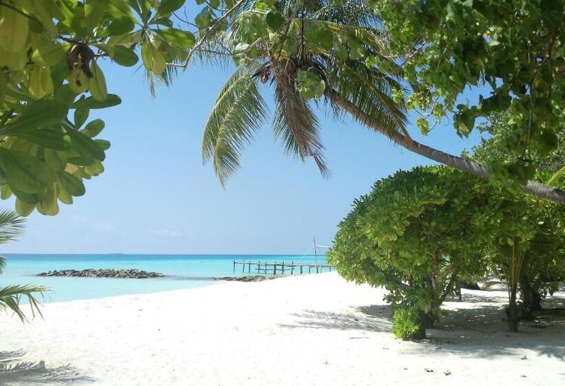 پانسیون Dhiffushi White Sand Beach