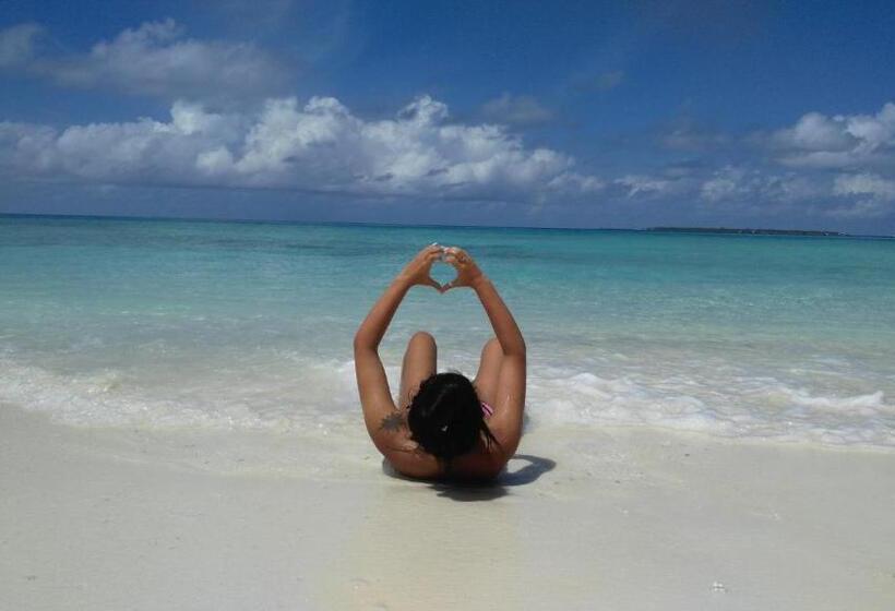 پانسیون Dhiffushi White Sand Beach