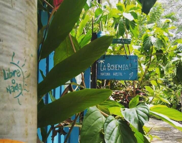 Pension Hostal La Bohemia