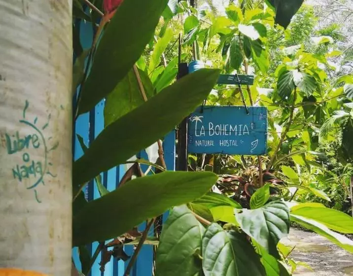 ペンション Hostal La Bohemia