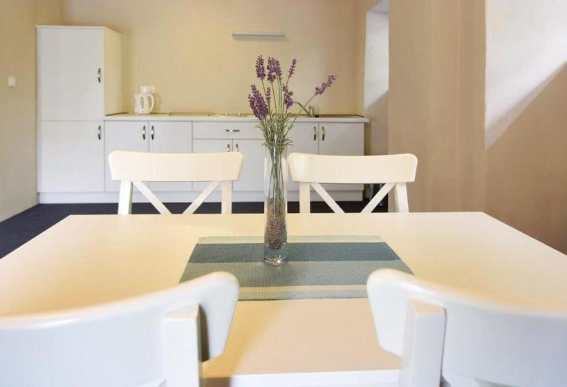 פנסיון Penzion Papírna