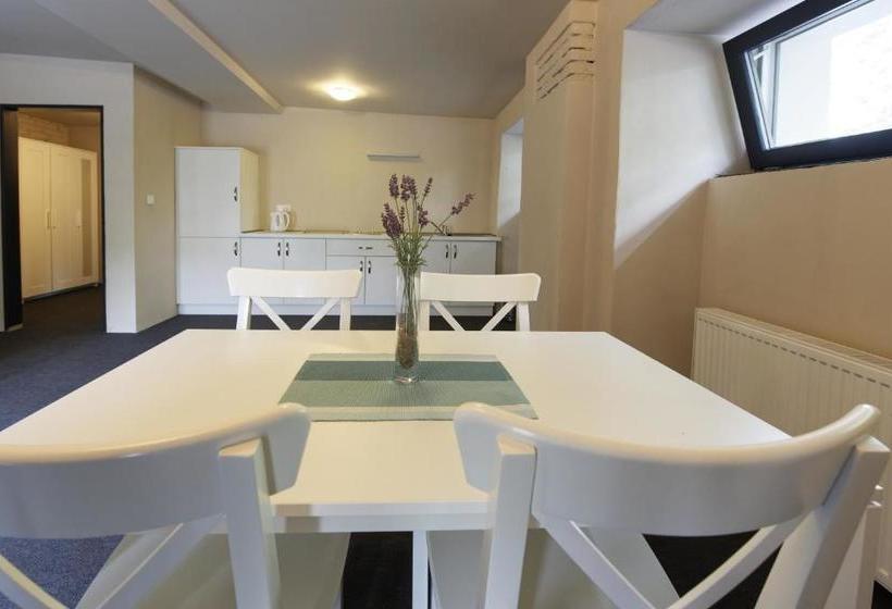 פנסיון Penzion Papírna