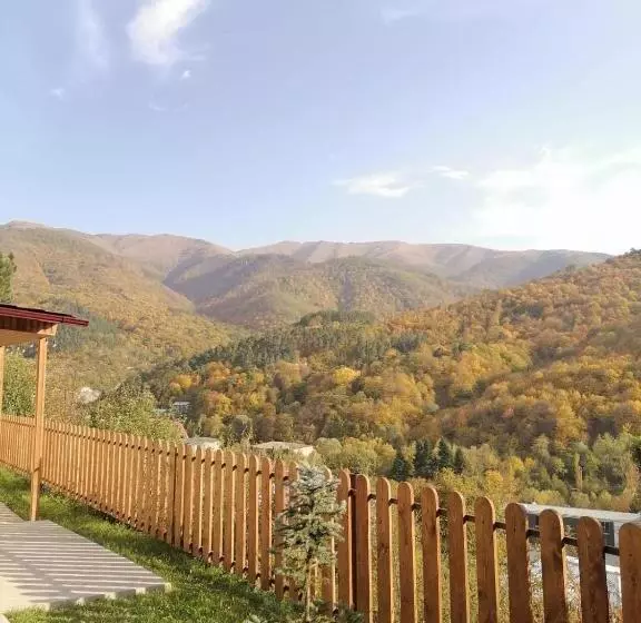 ペンション Popock Dilijan 1