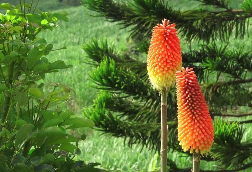 پانسیون Villa Laurina