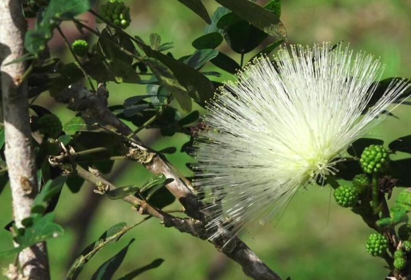 پانسیون Villa Laurina